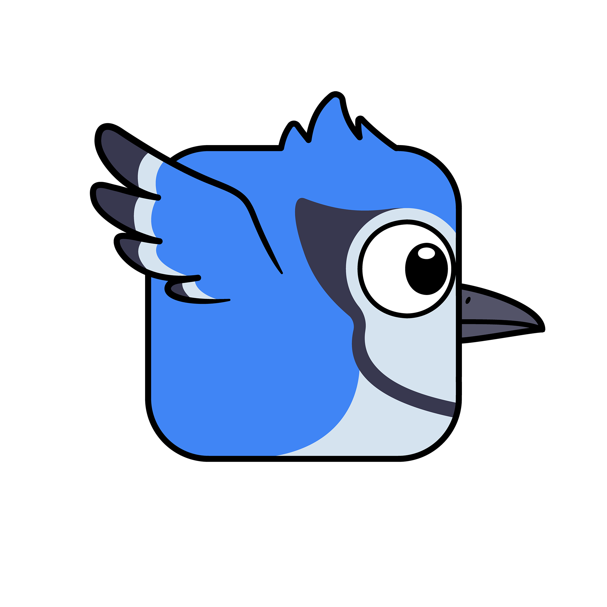 Blue Jay
